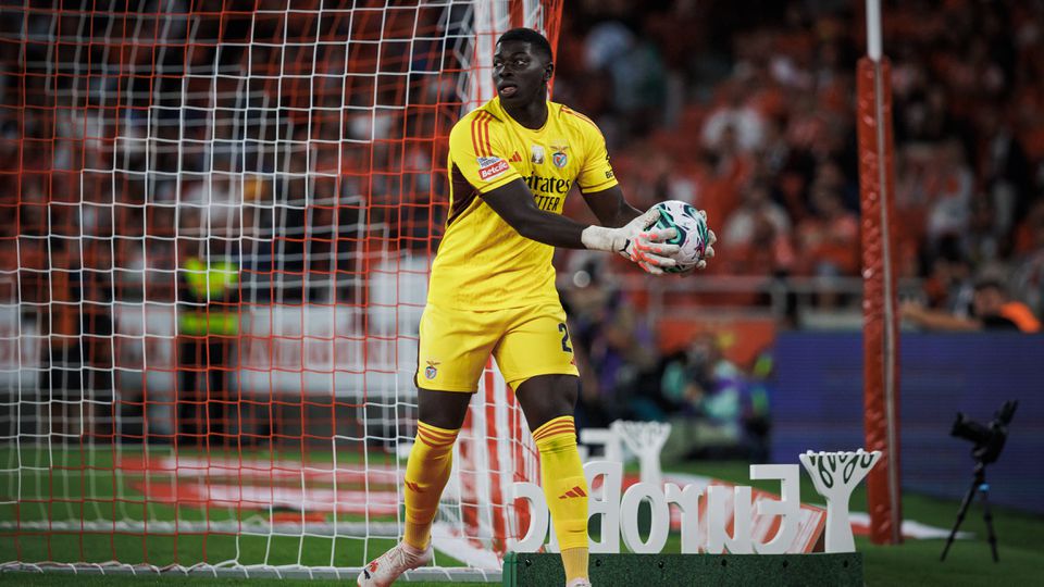 Baliza do Benfica à espera de novo dono