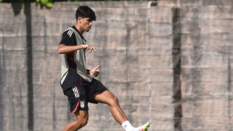 João Veloso diz que as coisas «estão a correr bem» no Benfica