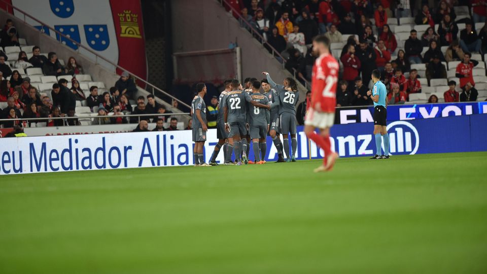 Benfica informa que adepto esfaqueado na Luz está «estável»