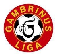 Gambrinus liga: Hodek rozhodol o výhre Brna