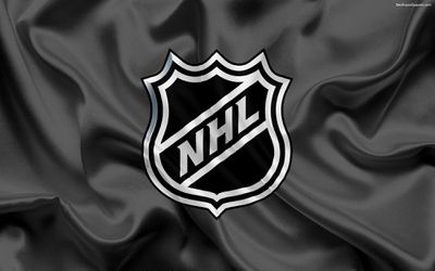 Osem statočných. Títo slovenskí hokejisti odštartujú sezónu v NHL