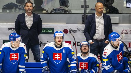 Na nomináciu Slovenska si počkáme. Miesta sú ešte otvorené pre posily